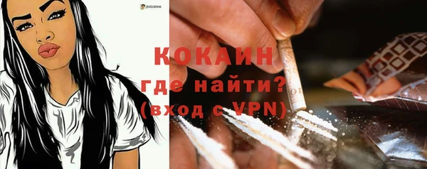 ГАЛЛЮЦИНОГЕННЫЕ ГРИБЫ Аркадак