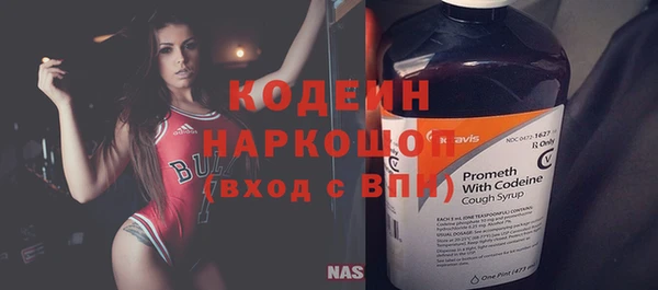 прущие грибы Балахна