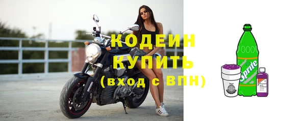 прущие грибы Балахна