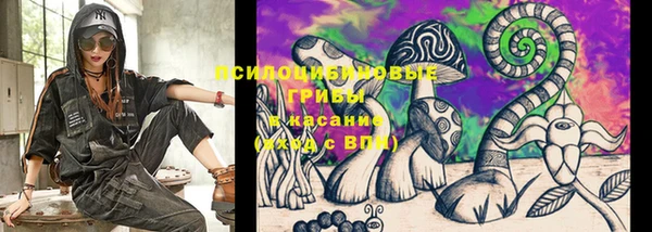 ГАЛЛЮЦИНОГЕННЫЕ ГРИБЫ Аркадак